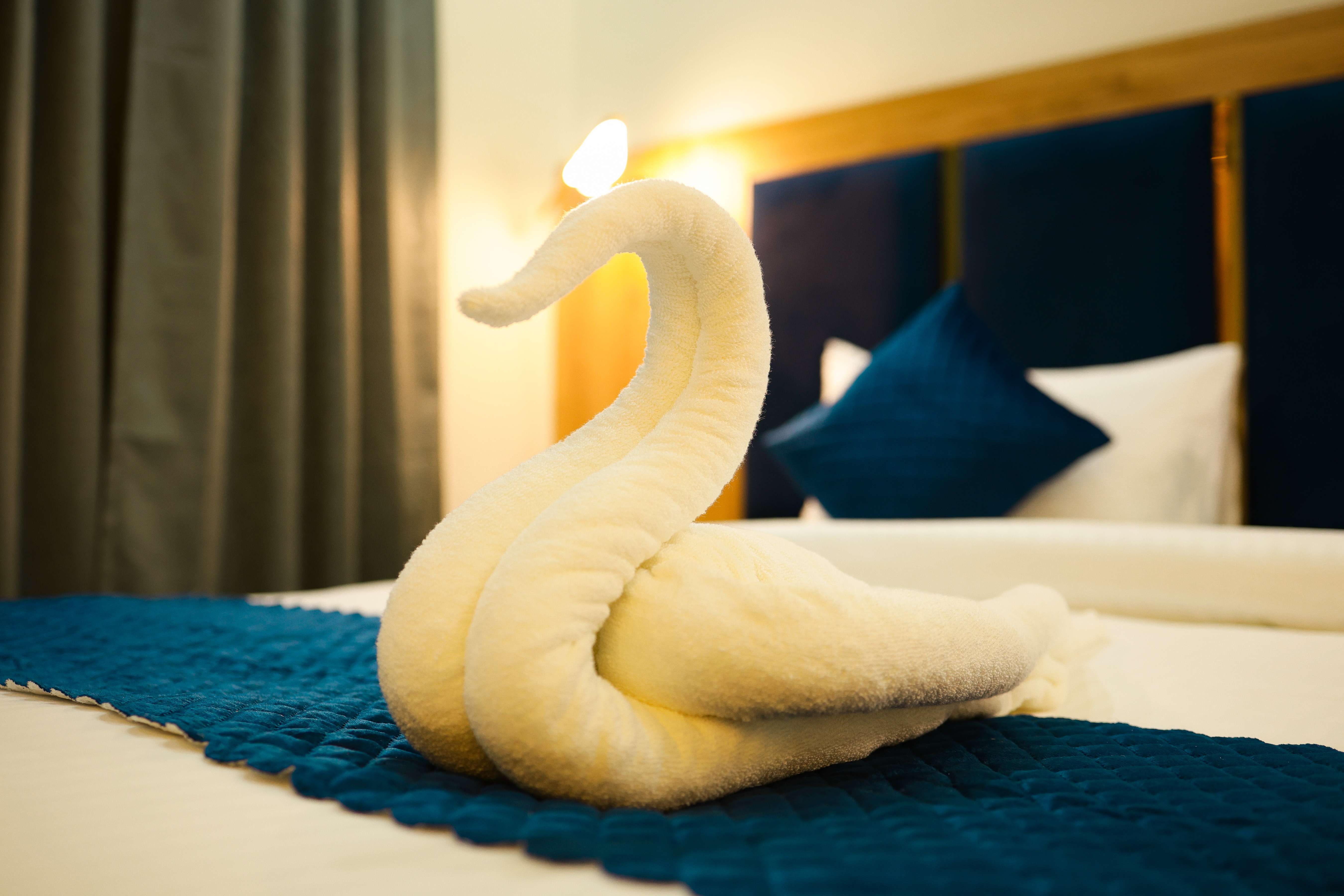 Roots Deluxe Room – Cozy Comfort in Style